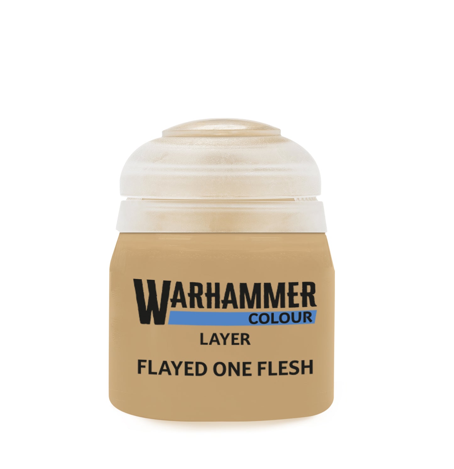 Games Workshop Citadel Flayed One Flesh